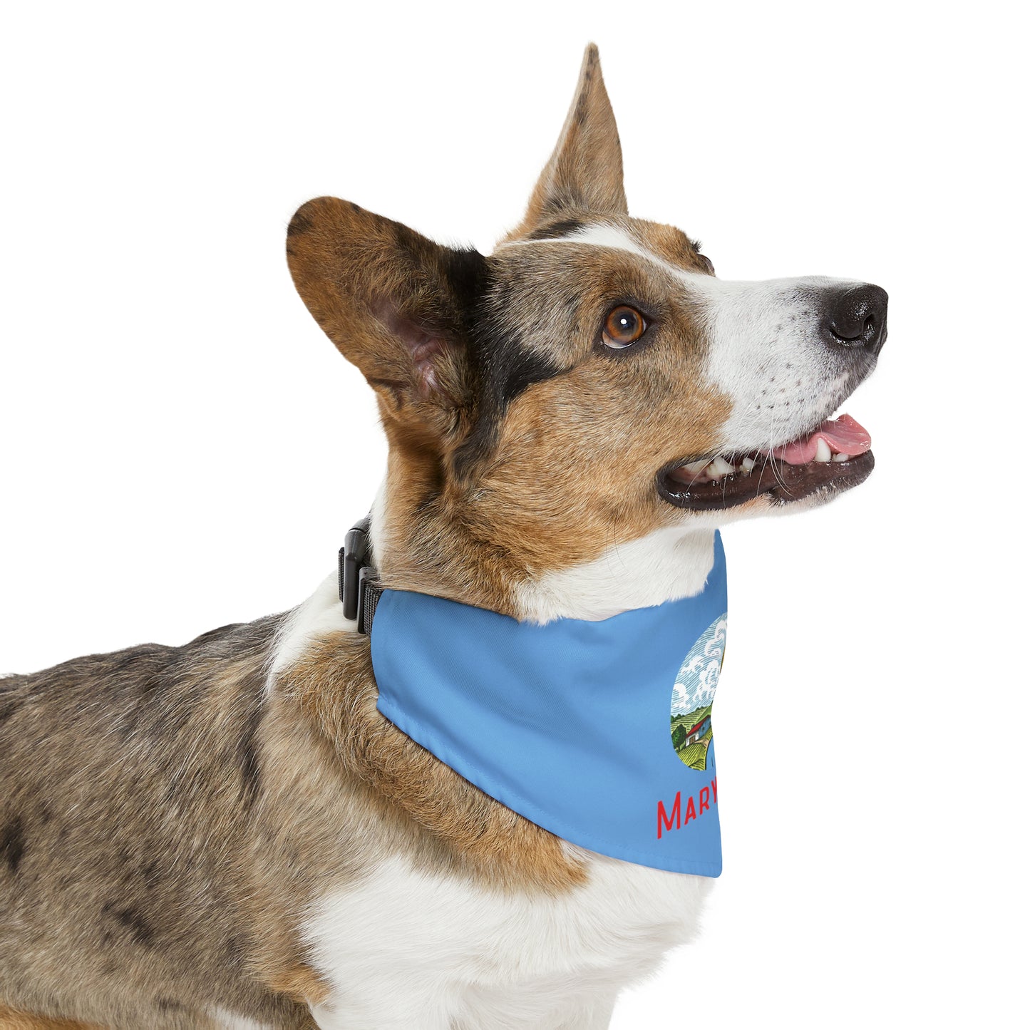 Pet Bandana Collar